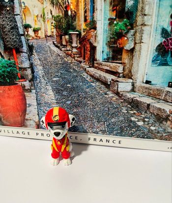 Tonie jungle pups pat patrouille