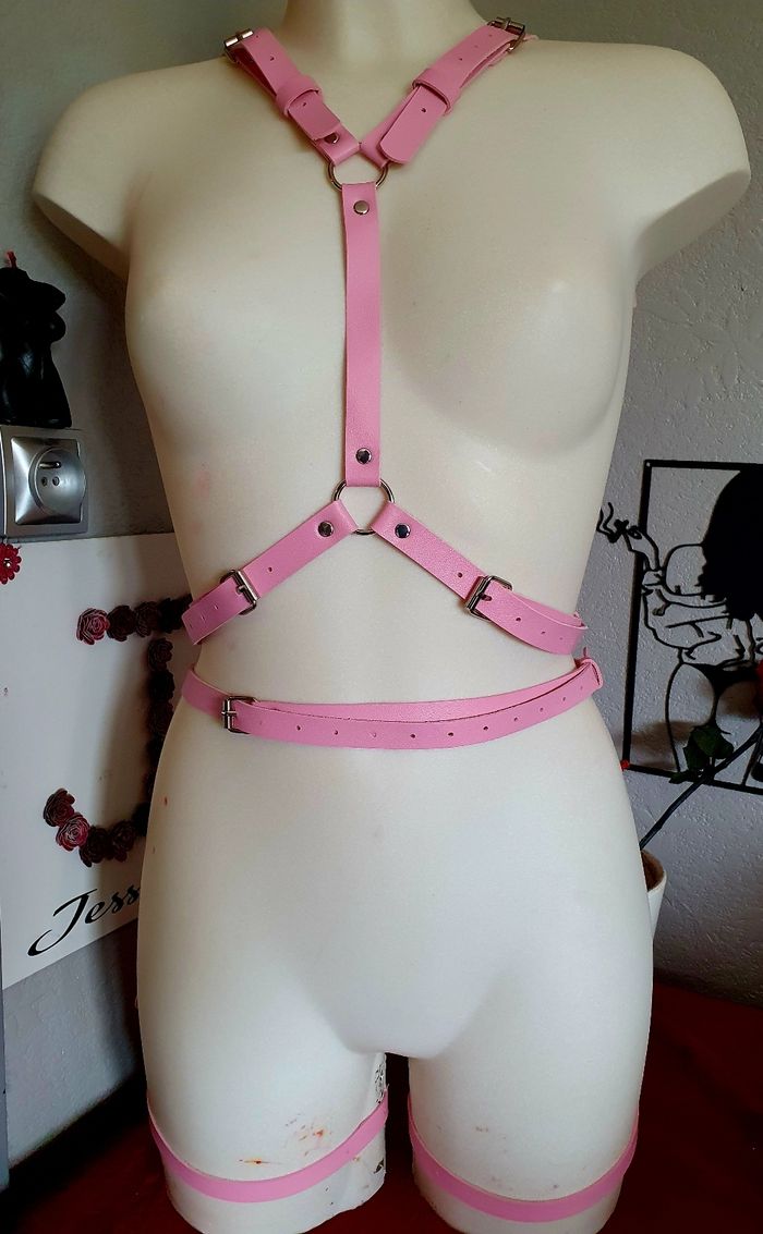 Ceintures ailes roses festival bondage costume - photo numéro 2