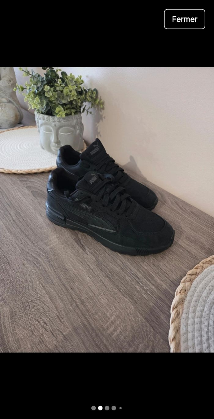 Puma