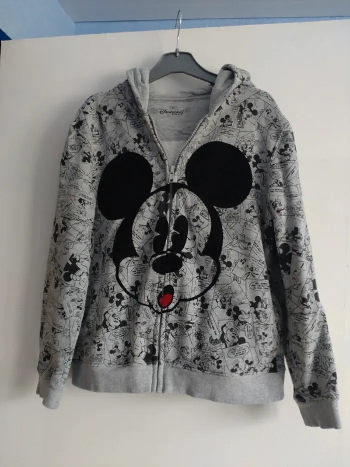 Gilet à capuche Disneyland taille 12 ans