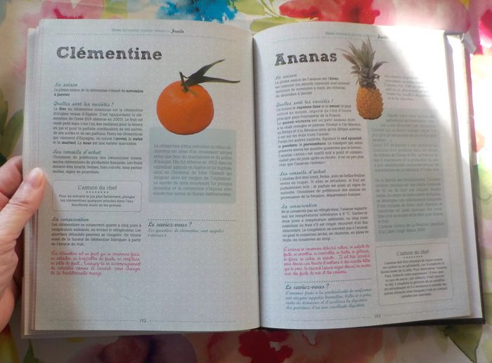 Le guide des produits de saison Achetez malin, mangez sain - photo numéro 9