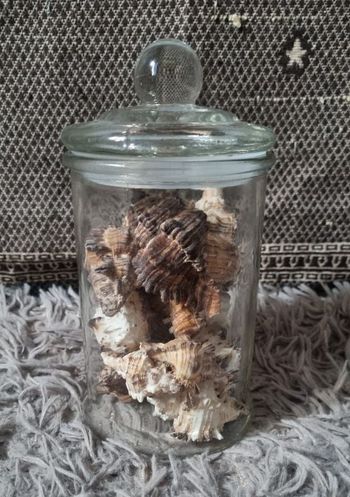 Bocal décoratif avec coquillages