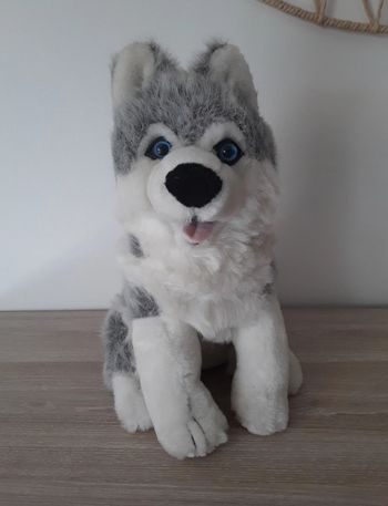 Peluche Husky