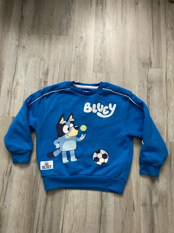 Pull bluey 4-5 ans