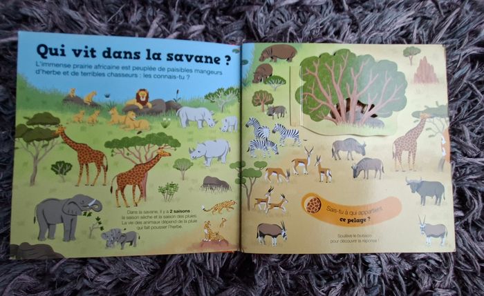 Livre sur les animaux de la savane - photo numéro 3