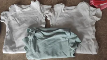 Lot 3 bodies manches courtes mixte 18 mois