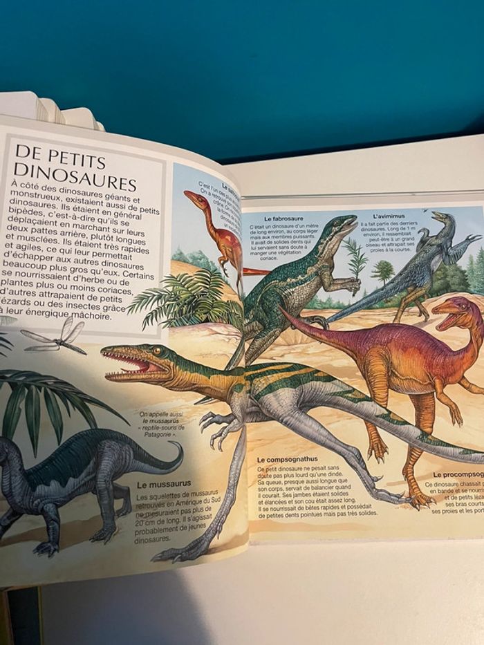 Livre l’imagerie des dinosaures éditions Fleurus - photo numéro 7