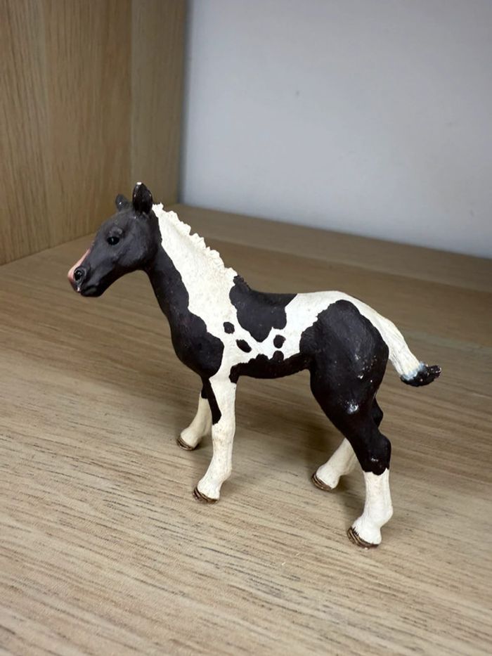Poulain Pinto Schleich