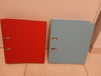 Lot de 2 grands classeurs