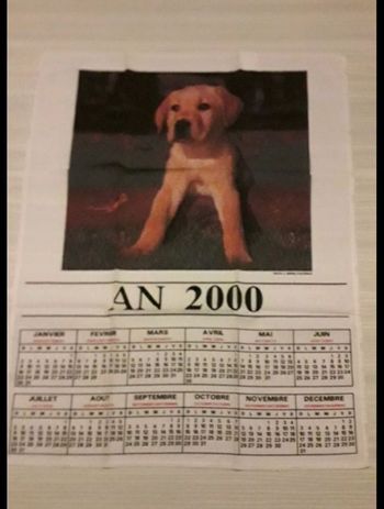 Calendrier tissus année 2000 chien