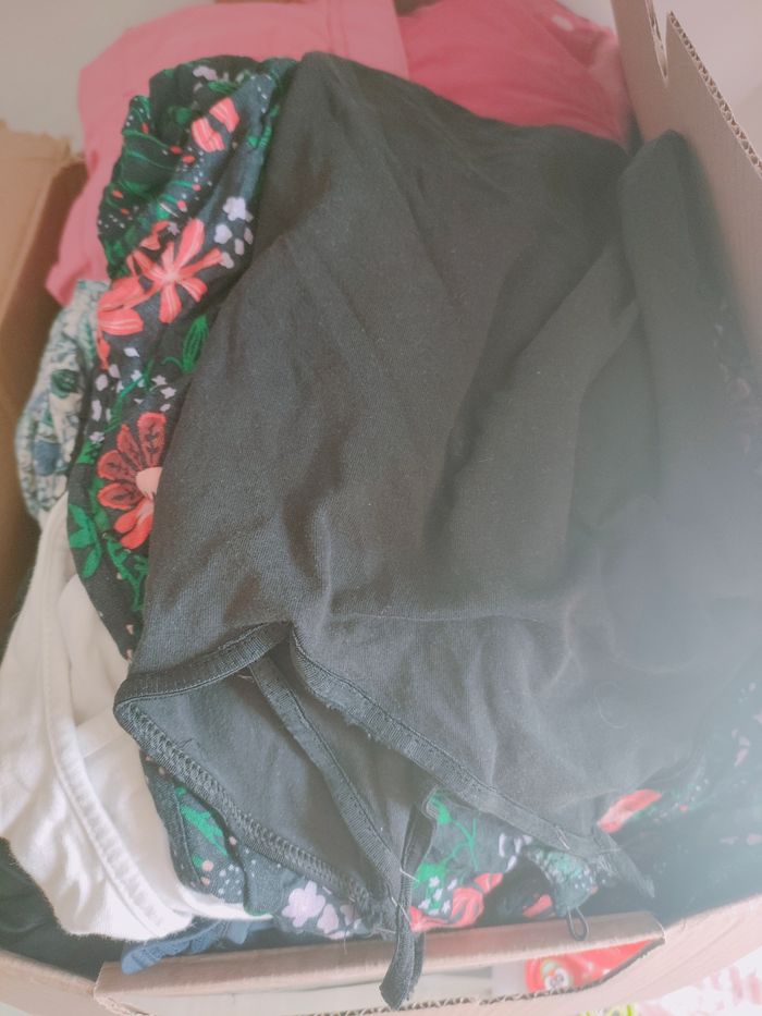 Lot pour panier chien