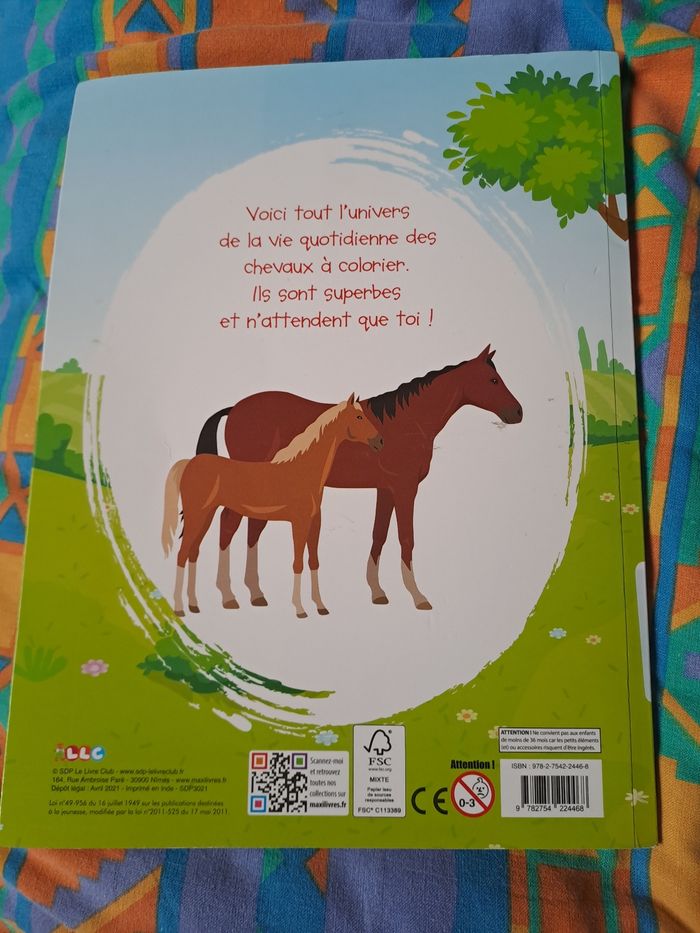 Coloriage tout l'univers des chevaux NEUFlivre de coloriage neuf. - photo numéro 5