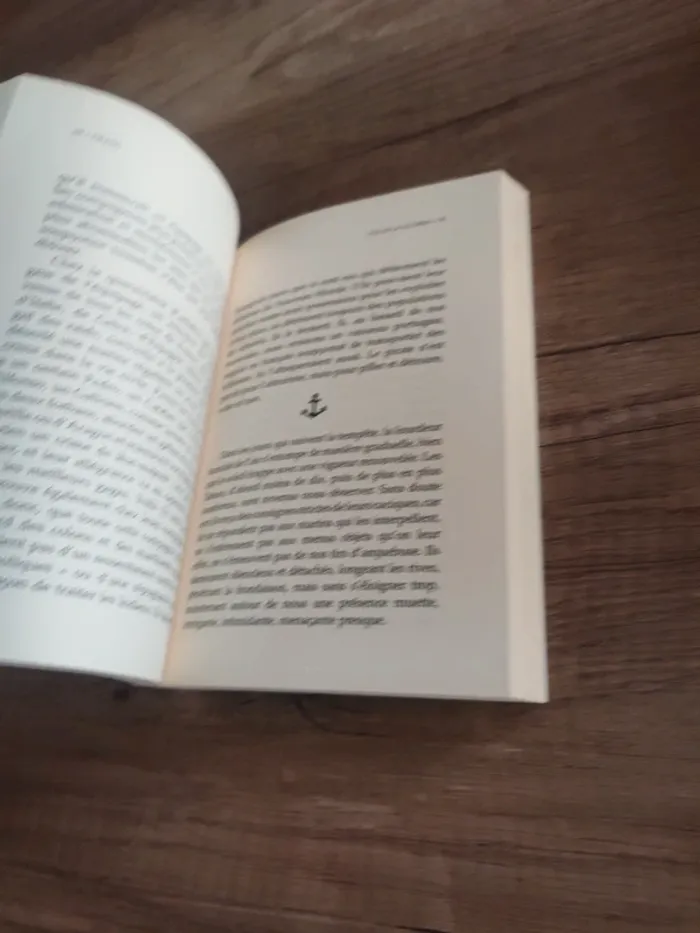 Livre pour enfants "pirates 1" - photo numéro 5