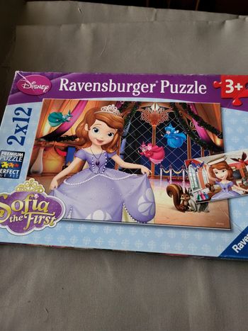 Lot de 2 puzzles disney princesse