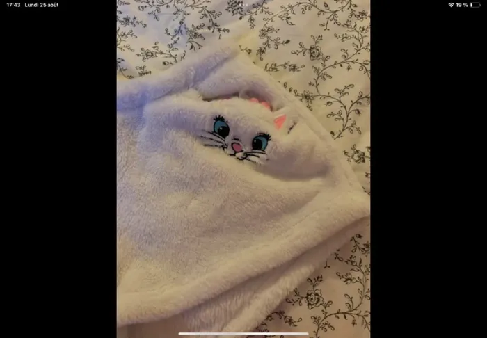 Short marie aristocrates undiz M - photo numéro 2