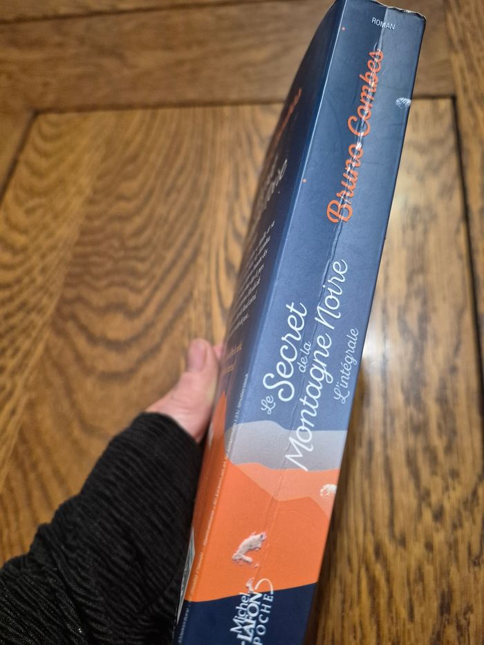 Le secret de la montagne noire (l'intégeale) de Michel Combes - photo numéro 6