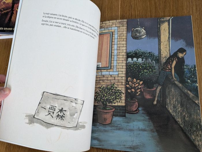 Livre les trois vies de petite perle - photo numéro 5