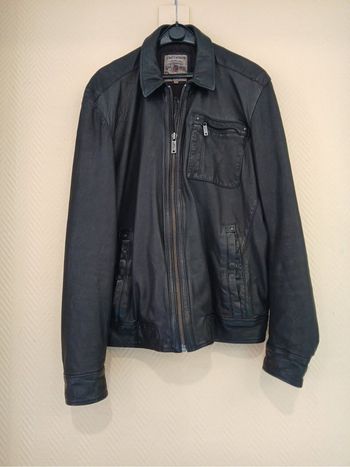 Veste chevignon