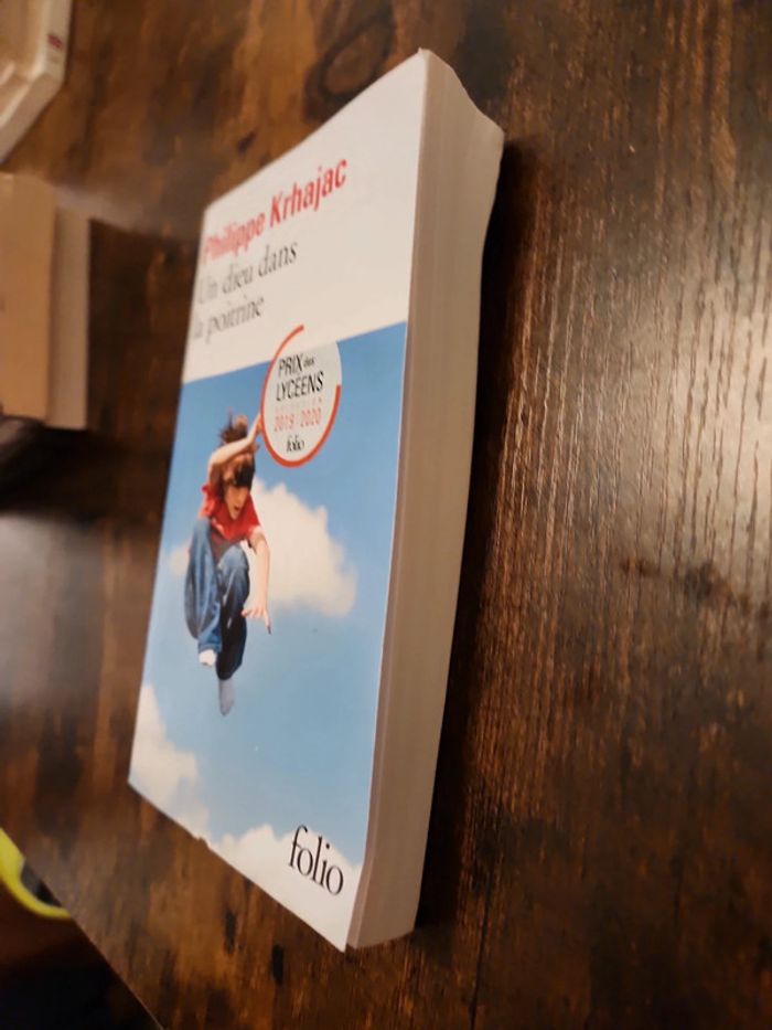 Livre : un dieu dans la poitrine - photo numéro 3
