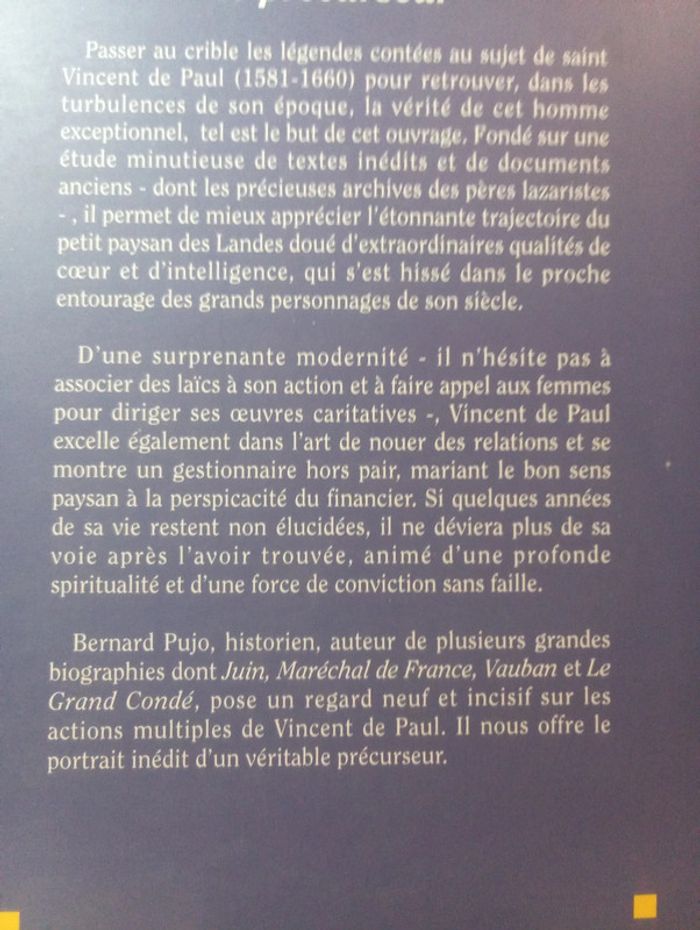 Bernard Pujo - Vincent de Paul - photo numéro 3