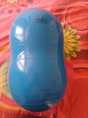 Ballon de gym physio roll 30 cm