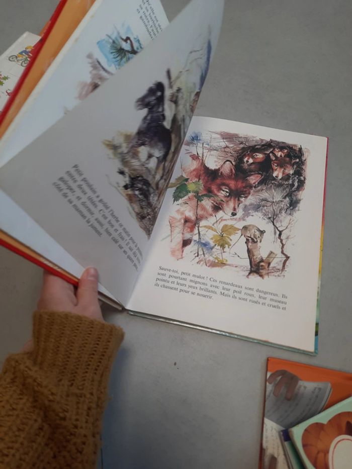 Livre animaux lot - photo numéro 10