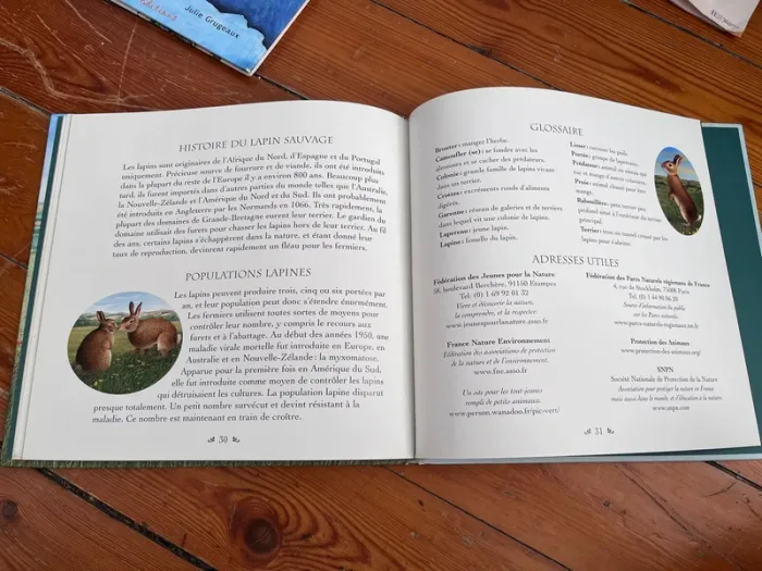 Livre « la vie des animaux » Les lapins - photo numéro 4