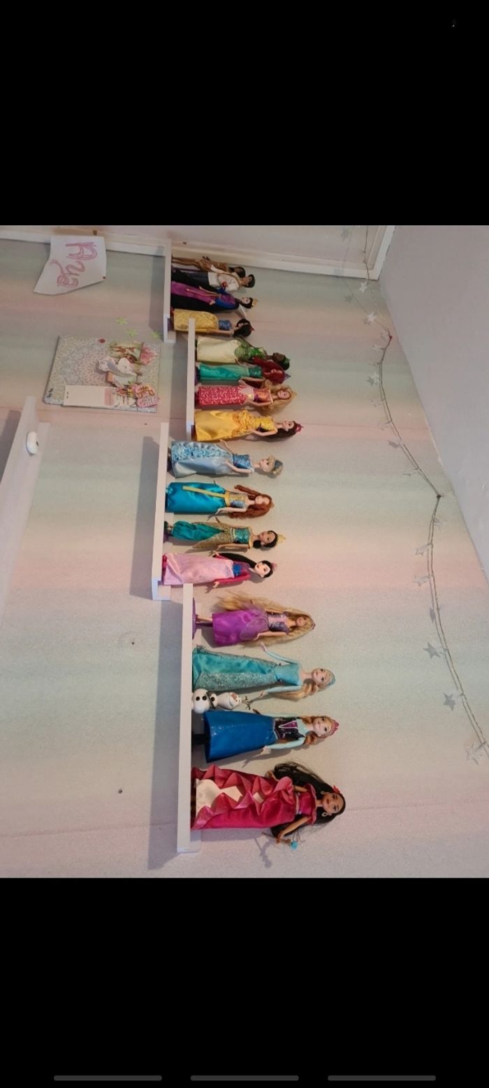 Collection princesse disney