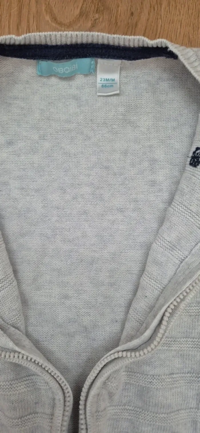 Un gilet et un t shirt - photo numéro 4