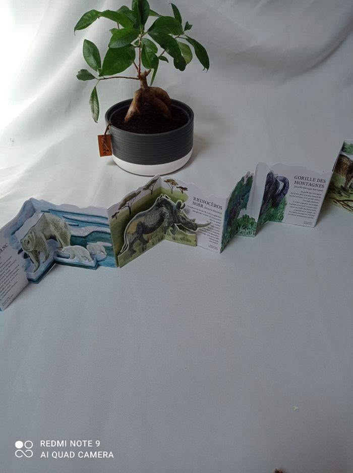 Livre panorama illustré animaux en danger - photo numéro 7