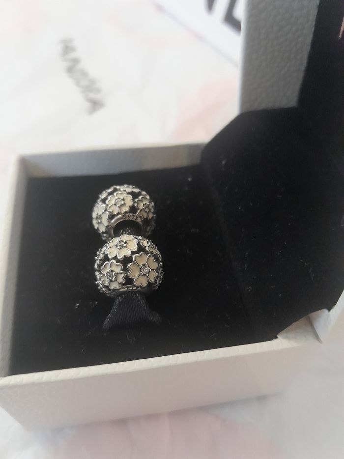 2 charms Pandora - photo numéro 6