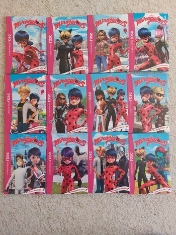 Lot livres miraculous n⁰1 à 12