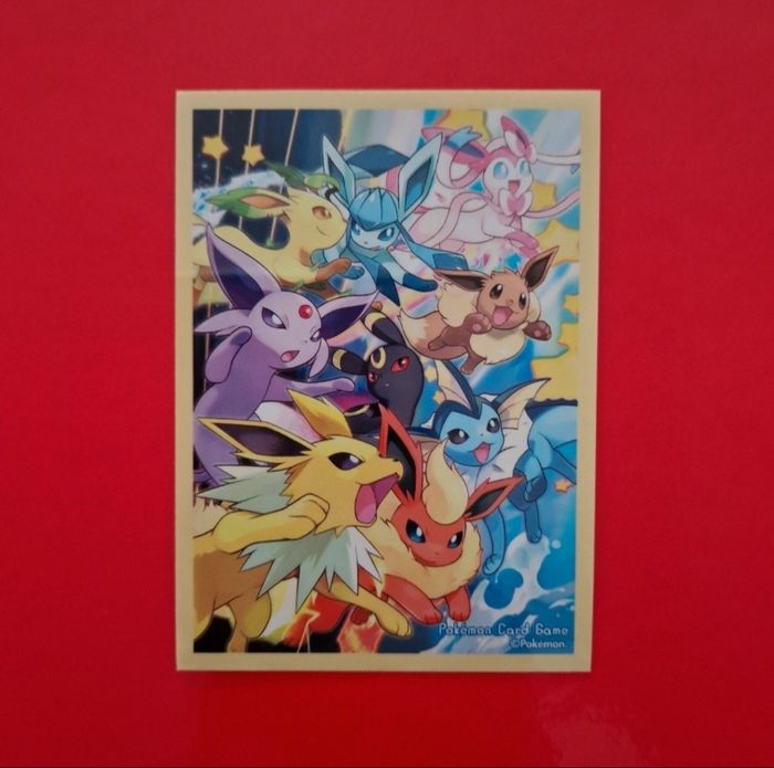 1 sleeve pokemon