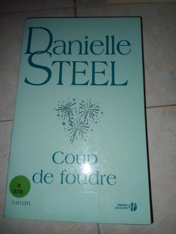 Danielle Steel : coup de foudre