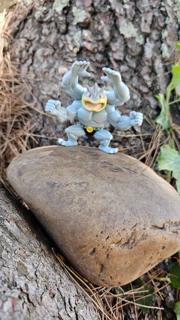 Super figurine Pokemon Nintendo mackogneur