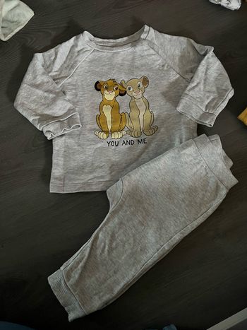 Ensemble Le Roi Lion