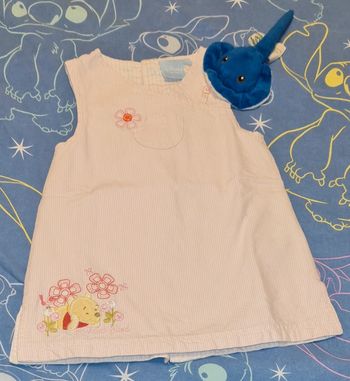 Robe Disney