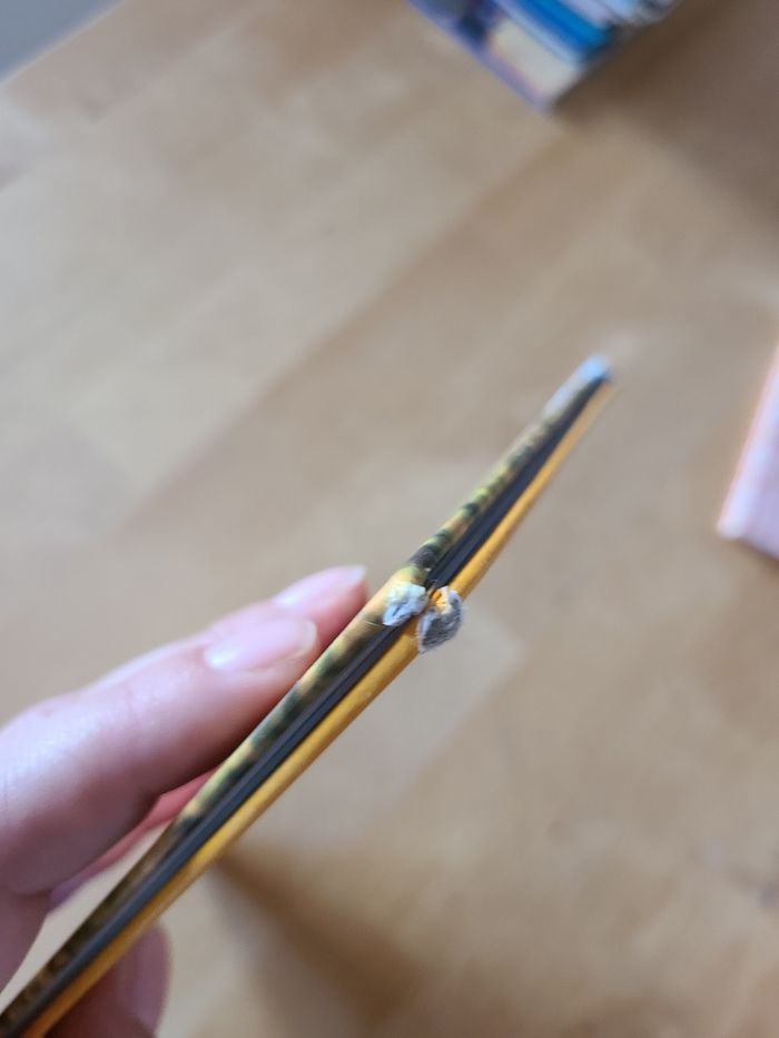 Livre disney nature Kids mes amis les animaux - photo numéro 6