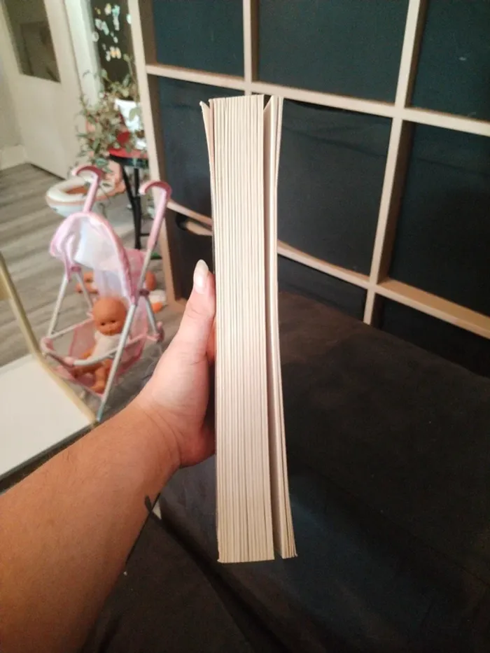 Livre - photo numéro 3