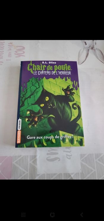 Livre chair de poule gare aux coups de griffes