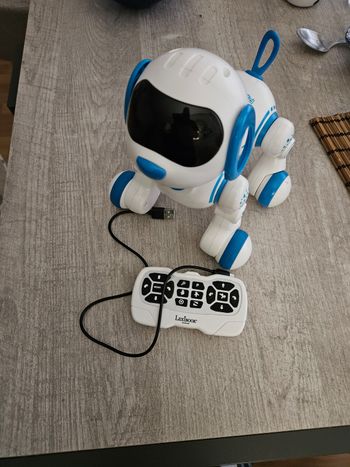 Chien Power puppy JR8