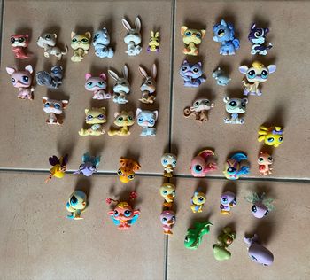Lot PetShop