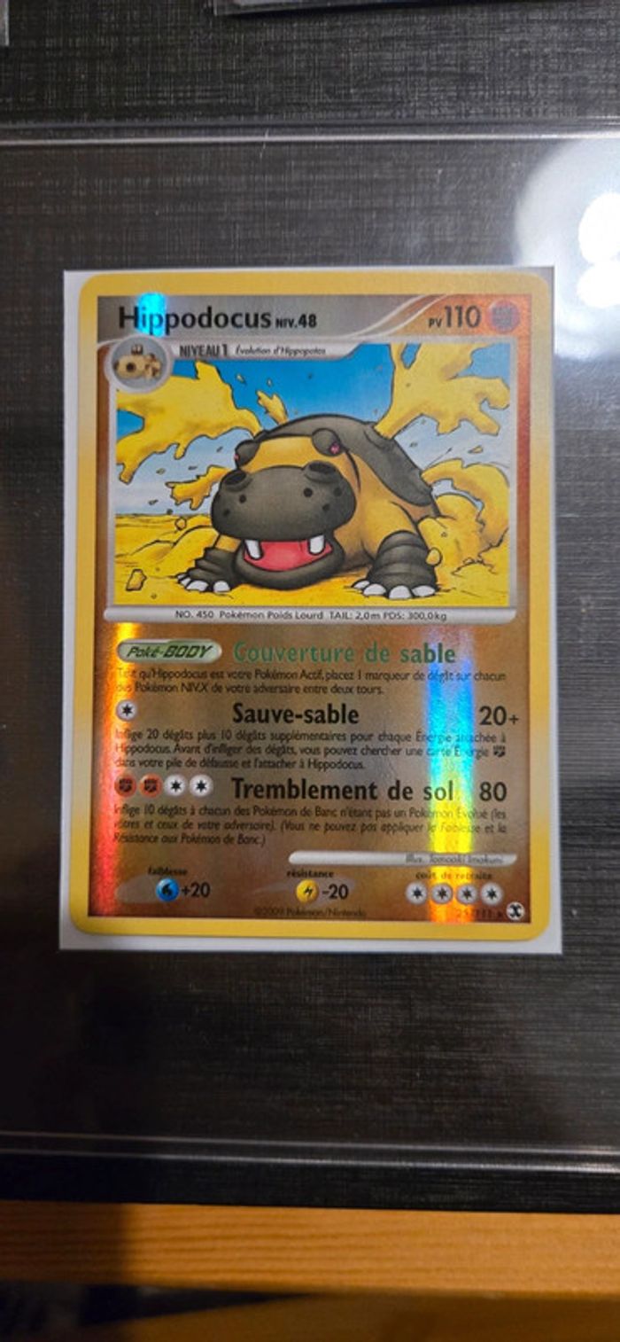 Hippodocus reverse 25/111