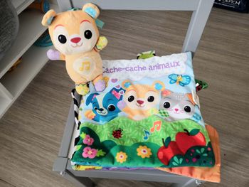 VTech - Grand Livre Toudoux des Découvertes