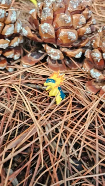 Super petite figurine Pokemon Nintendo typhlosion