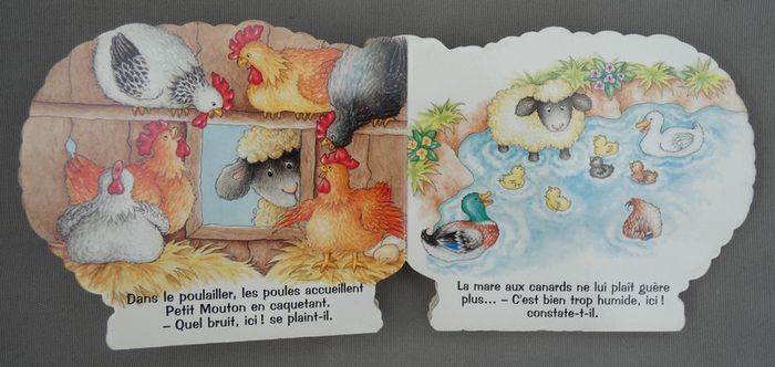 Joli livre cartonné "Un tout petit mouton" - photo numéro 5