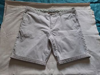 short chino gris