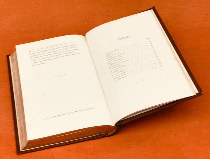Fin XIXème Jean Macé Contes du Petit-Château Hetzel Libraire-Editeur Paris - photo numéro 6