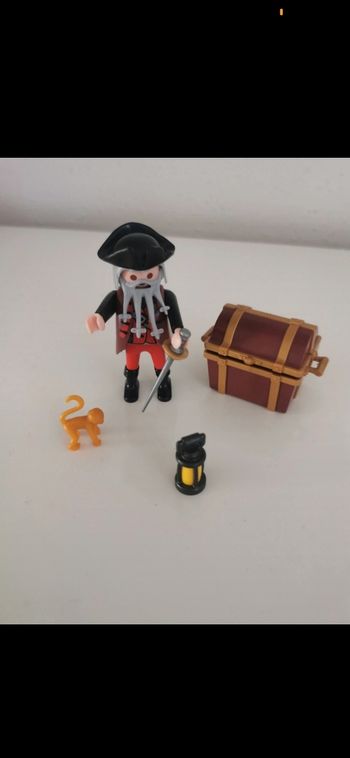 Playmobil lot pirate singe lanterne coffre sabre