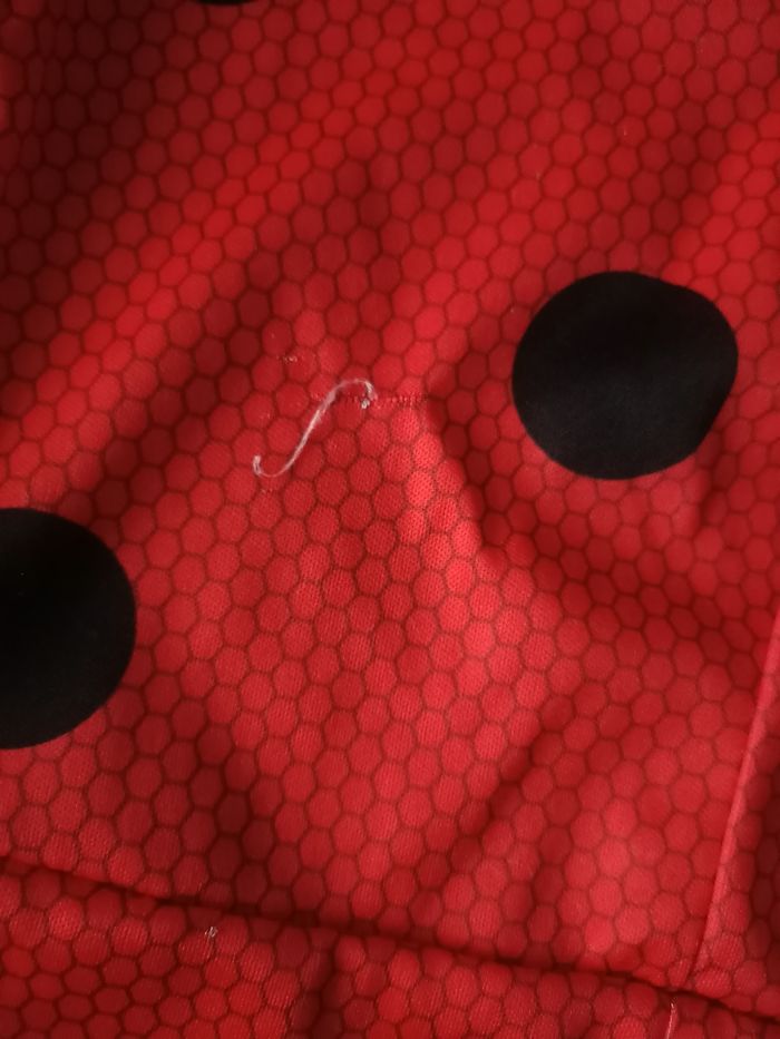 Déguisement miraculous - photo numéro 2